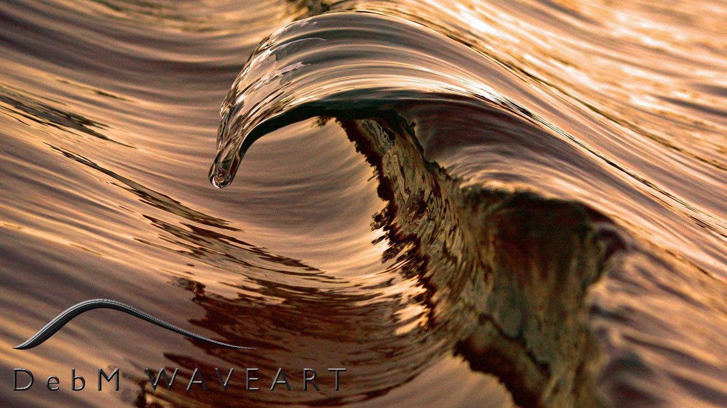 wave at sunrise by Deb Morris