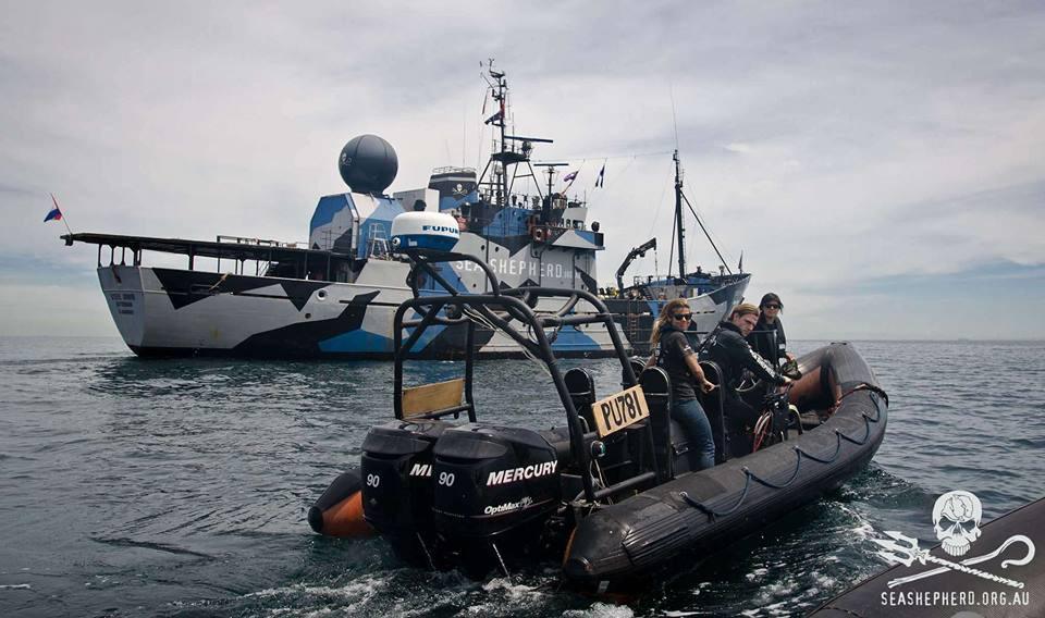 AquaTech supports Sea Shepherd - AquaTech.AU