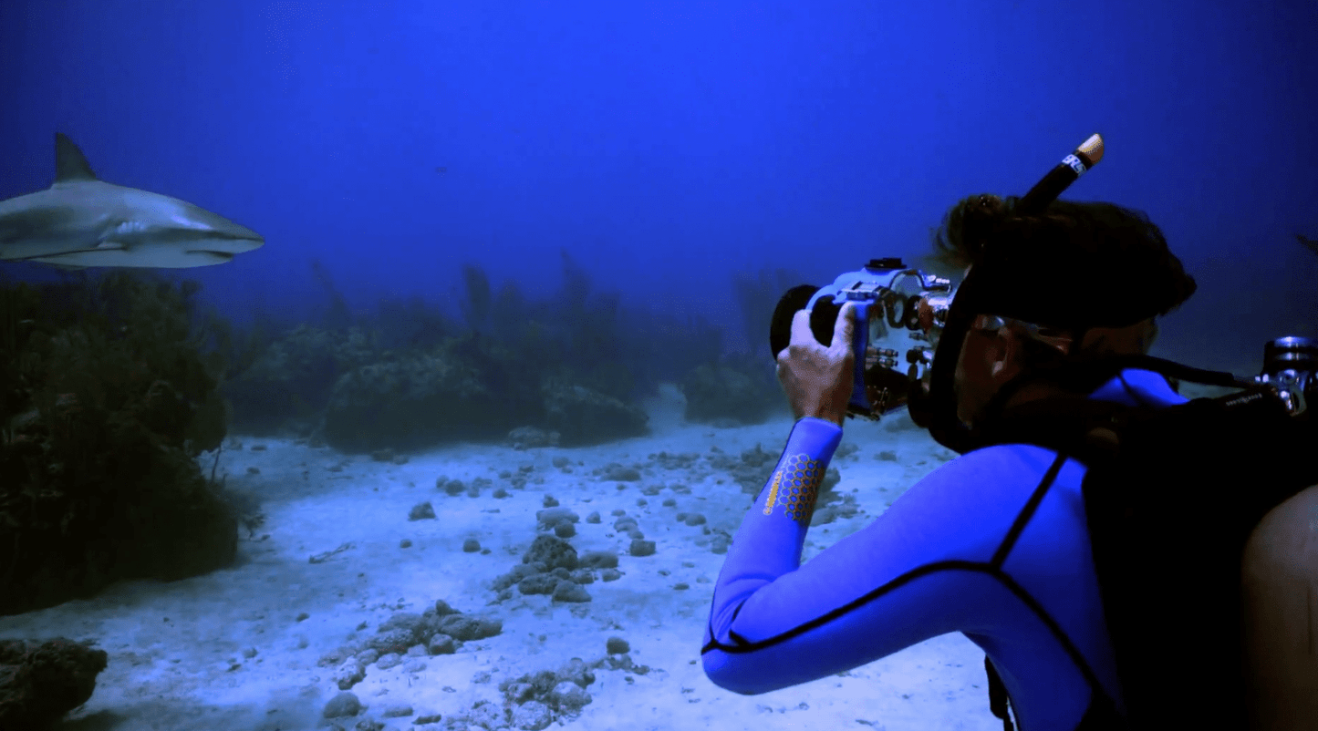 MIKE COOTS FOR PADI TV - AquaTech.AU