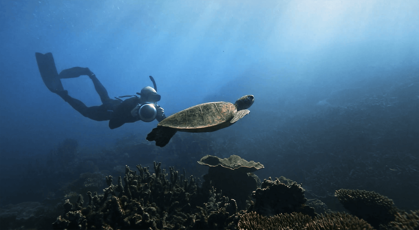 PHOTOGRAPHING CORAL BAY WITH ALEX KYDD - AquaTech.AU